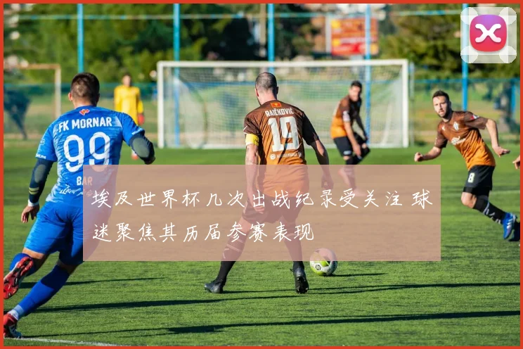 埃及世界杯几次出战纪录受关注 球迷聚焦其历届参赛表现